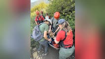Dog's rescue from California trail emphasizes danger of warm-weather hikes for dogs
