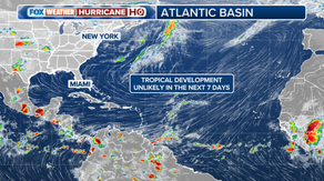 Pattern emerges in tropics for first time in more than 20 years