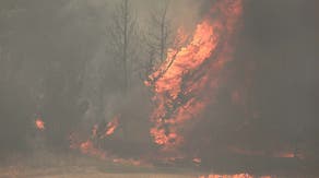 Firefighters gain upper hand battling raging wildfires in Israel