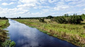 Wife killed in alligator attack in Central Florida while canoeing with her husband