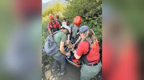 Dog's rescue from California trail emphasizes danger of warm-weather hikes for dogs