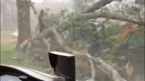 'We're in a tornado!' Watch St. Louis construction workers ride out destructive twister in their truck