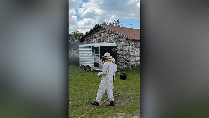 A vicious bee swarm launched a deadly attack on a Comanche, Texas, family's cluster of cherished rodeo horses, resulting in the loss of all three animals on Friday, May 9, 2025, fire officials said.