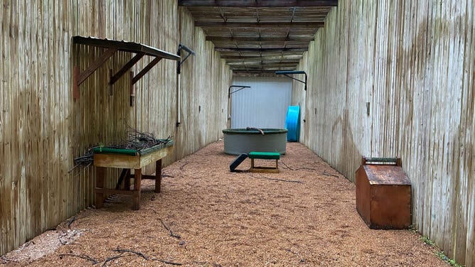 The new space at World Bird Sanctuary for the rescued eaglets.