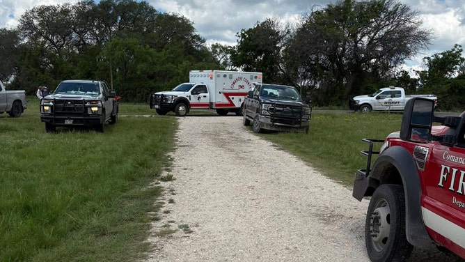 A vicious bee swarm launched a deadly attack on a Comanche, Texas, family's cluster of cherished rodeo horses, resulting in the loss of all three animals on Friday, May 9, 2025, fire officials said.