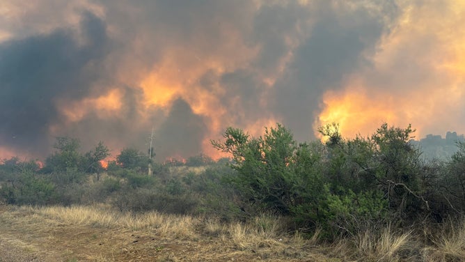 The Cody Fire spread to 1,000 acres within a few hours.