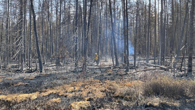 Photo of Munger Shaw fire activity.