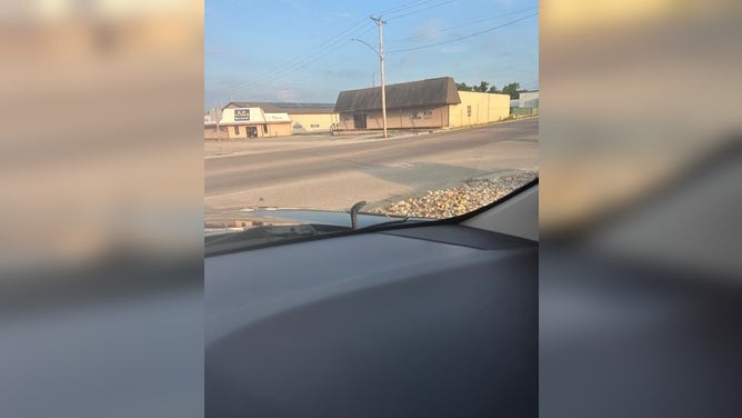 The snake was removed unharmed.