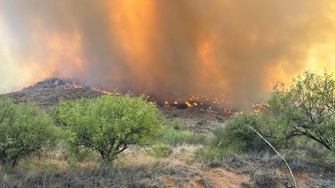 The Cody Fire scorches land in Pinal County, Arizona, on May 21.