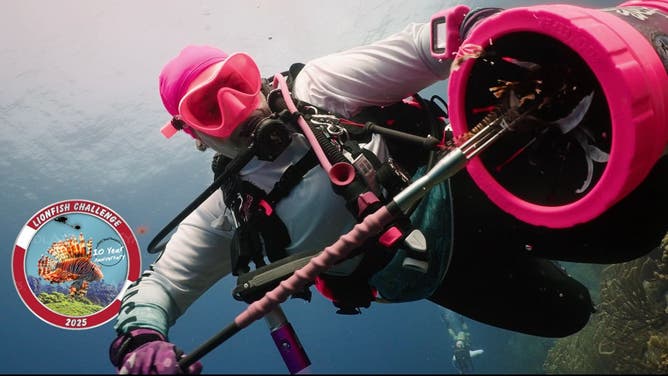 Participants in the Lionfish Challenge have removed over 1 million lionfish from Florida waters since the program began in 2014.