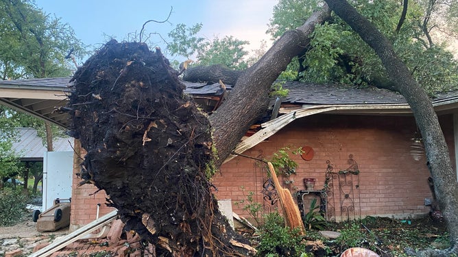 Wind from severe storms take down power lines in Austin on Wednesday, May 28, 2025.