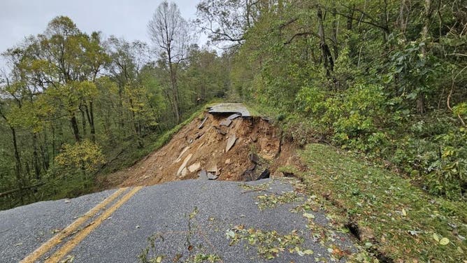 The Blue Ridge Parkway at Gooch Gap - Milepost 336.