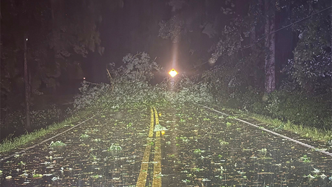 This image shows trees down across Reinhardt College Parkway in Cherokee County, Georgia, after severe weather on May 21, 2025.