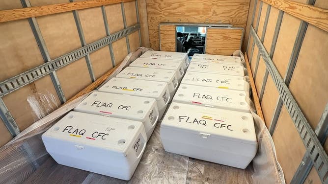 Coral babies head to Florida Keys to help restore dying reefs