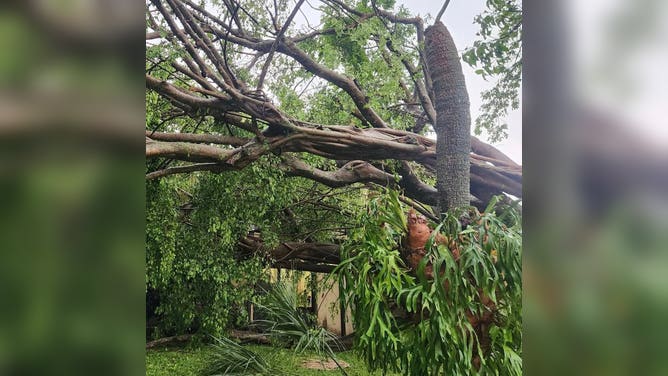 A severe thunderstorm over the Pembroke Pines area in South Florida caused quite a bit of damage on Friday. Meteorologists attributed the damage to what is known as a downburst.