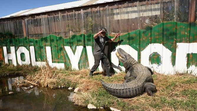 Jay Young puts on a show for visitors at Colorado Gators and Reptile Park in the San Luis Valley on March 15, 2022 in Mosca, Colorado. The gator named Morris is used to the spotlight after working in Hollywood for 30 year. Morris started in dozens of films including Happy Gilmore before retiring at the farm.