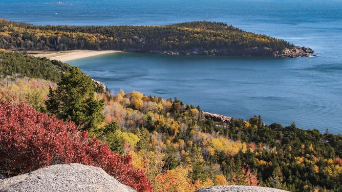 Sand Beach Cove and Great Head from Gorham Mountain, Acadia National Park, Maine, United States.