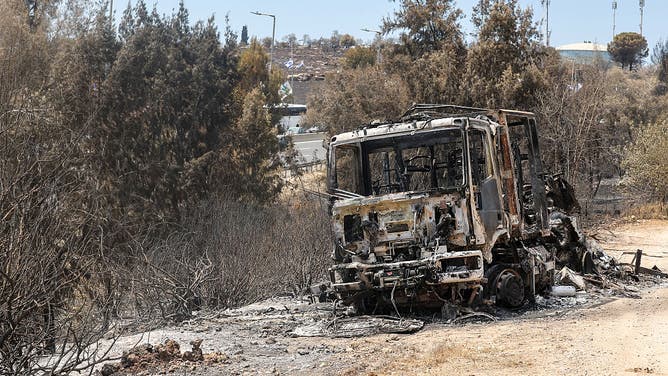 Israel wildfires