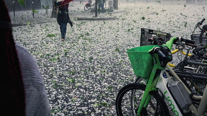 A person walks and covers his head during a hailstorm with rain and hail in Paris France on May 3, 2025.
