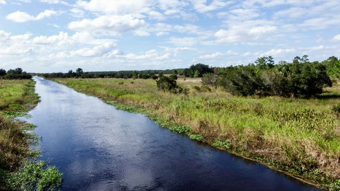 Lake Kissimmee State Park photo