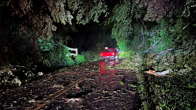 This image shows trees down across a road after severe weather in Gordon County, Georgia, on May 21, 2025.