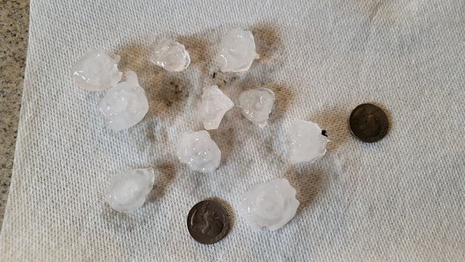 Hail from East Troy in southeastern Wisconsin.