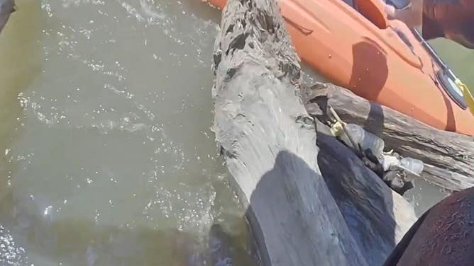 Officer Bruno prepares to jump back into the river to save the kayaker.