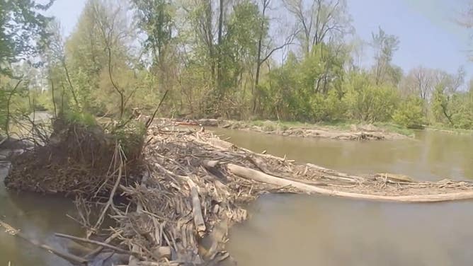 Officer Bruno reaches the river where the kayaker is clinging to a log.