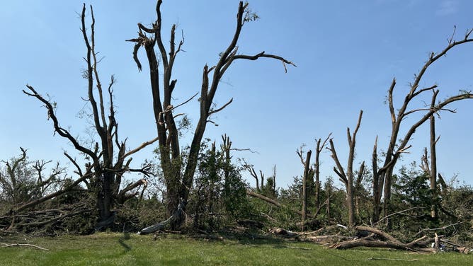 Damage in Plevna, Kansas after a nighttime EF-3 tornado devastated the small city.