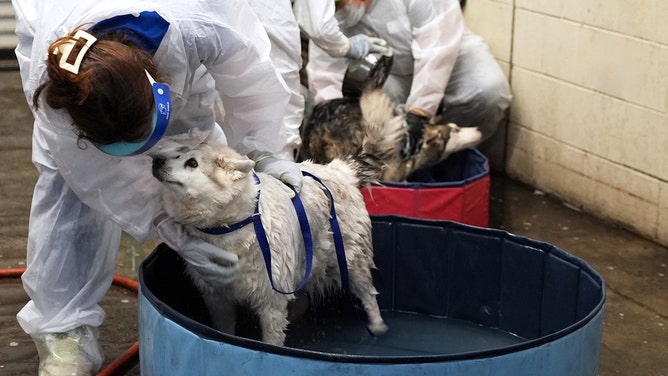 The San Diego Humane Society deployed its teams Thursday morning to the Murphy Canyon neighborhood after a deadly plane crash, providing critical support for animals impacted by the disaster.