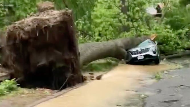 Storm damage is seen in University City, Missouri, near St. Louis, on May 16, 2025.