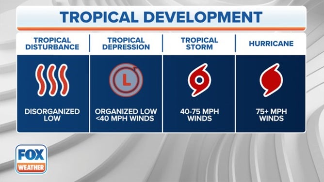 Tropical Development, from a tropical disturbance up to a hurricane.