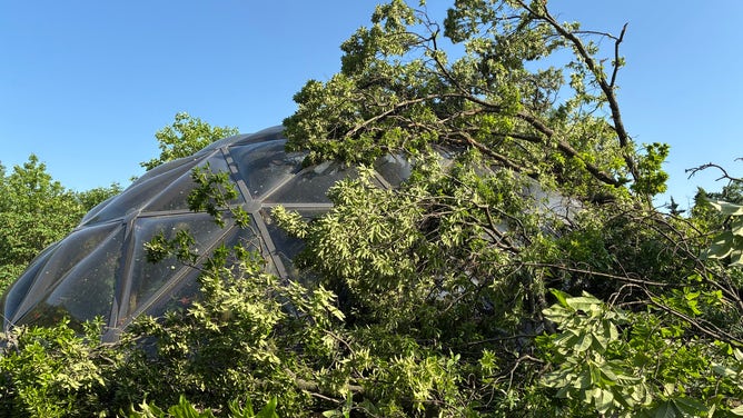 Damage to the St. Louis Zoo's Mary Anne Lee Butterfly Wing after the May 16, 2025 storm.