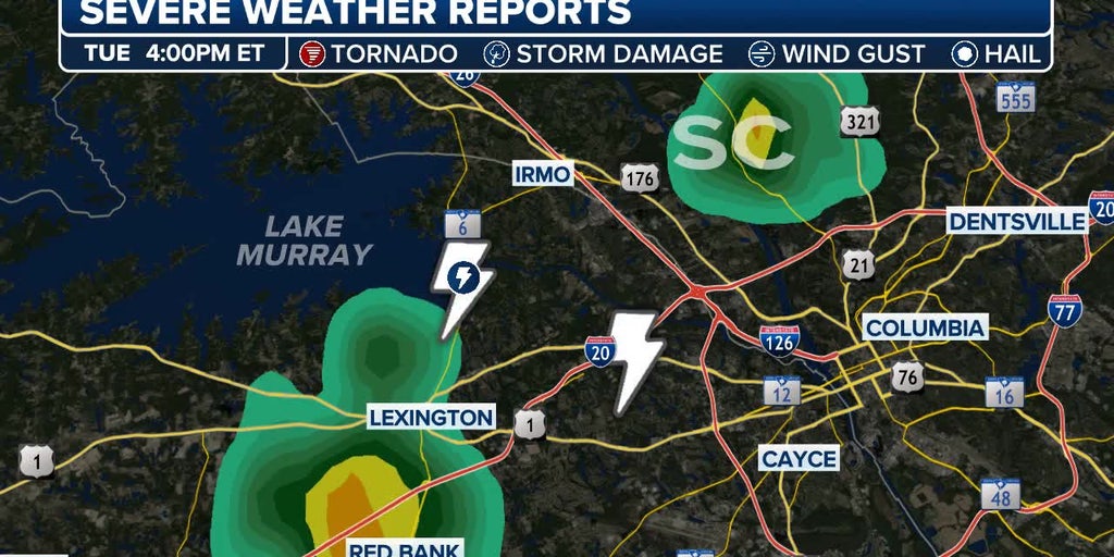 Lightning strikes group of 20, including children, at South Carolina beach park