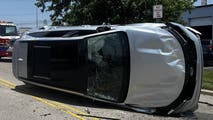 Photos: 'Cicada attack' leads to fender bender crash, police say