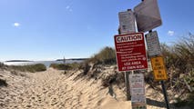 2 people bitten by shark at tourist hotspot Hilton Head Island in less than a week