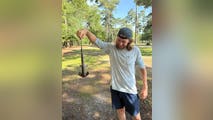 See it: Shark falls out of sky on unsuspecting disc golfers in South Carolina