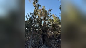 Lightning caused nearly 9,000-acre Forsyth Fire in Utah, officials say