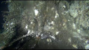 Live video awaits moment of possible underwater volcanic eruption off West Coast