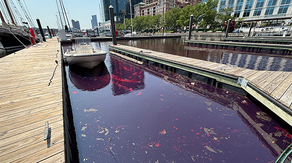 Baltimore fuel spill prompts multi-agency response to contain potential danger