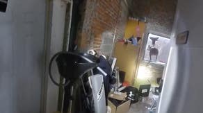 Watch: Deer trashes Iowa hair salon after breaking through window