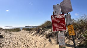 2 people bitten by shark at tourist hotspot Hilton Head Island in less than a week