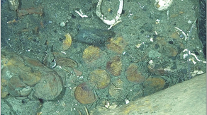 Photos show possible treasure from 300-year-old 'holy grail' of shipwrecks off Colombia