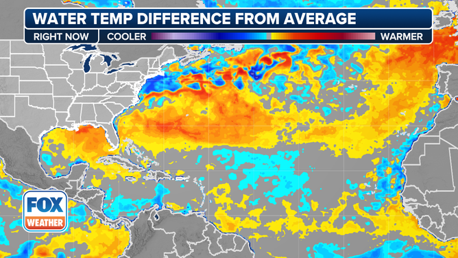 Current sea surface temperatures.