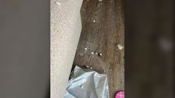 Damage is seen at a home in Henry County, Georgia, after an apparent meteor hit a home on June 25, 2025.
