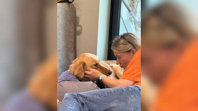 Amber's foster family loving on her after her safe return.