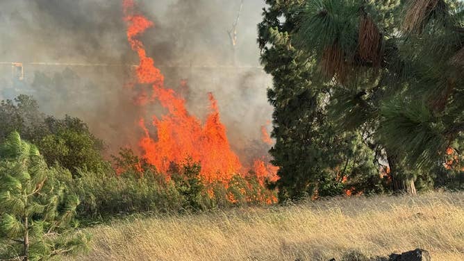 The Rowena Fire.