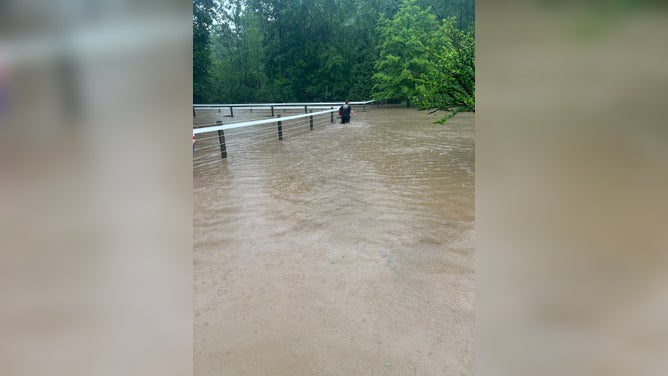 A water rescuer walks through high floodwaters.
