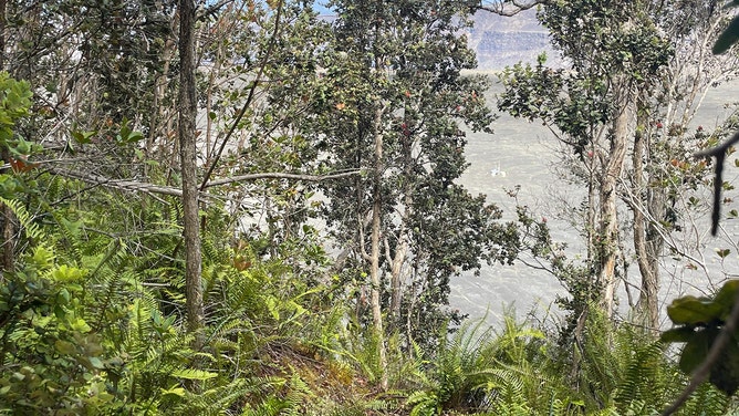 A 30-year-old man was rescued last week after falling 30 feet from a cliff in Hawaiʻi Volcanoes National Park.