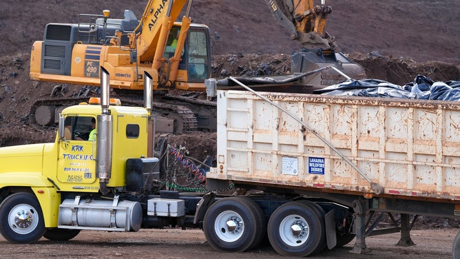 Dump trucks moving Lahaina wildfire debris on Monday, June 15, 2025.